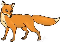 狐狐狸素材