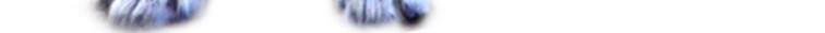 野生动物走兽狼png免抠素材_88icon https://88icon.com 狼 动物 野生动物 走兽 野兽 狼元素