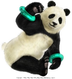 大熊猫大猫熊素材