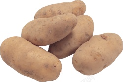 马铃薯土豆素材