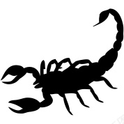 蝎子scorpion的复数png免抠素材_88icon https://88icon.com scorpion的复数 蝎子