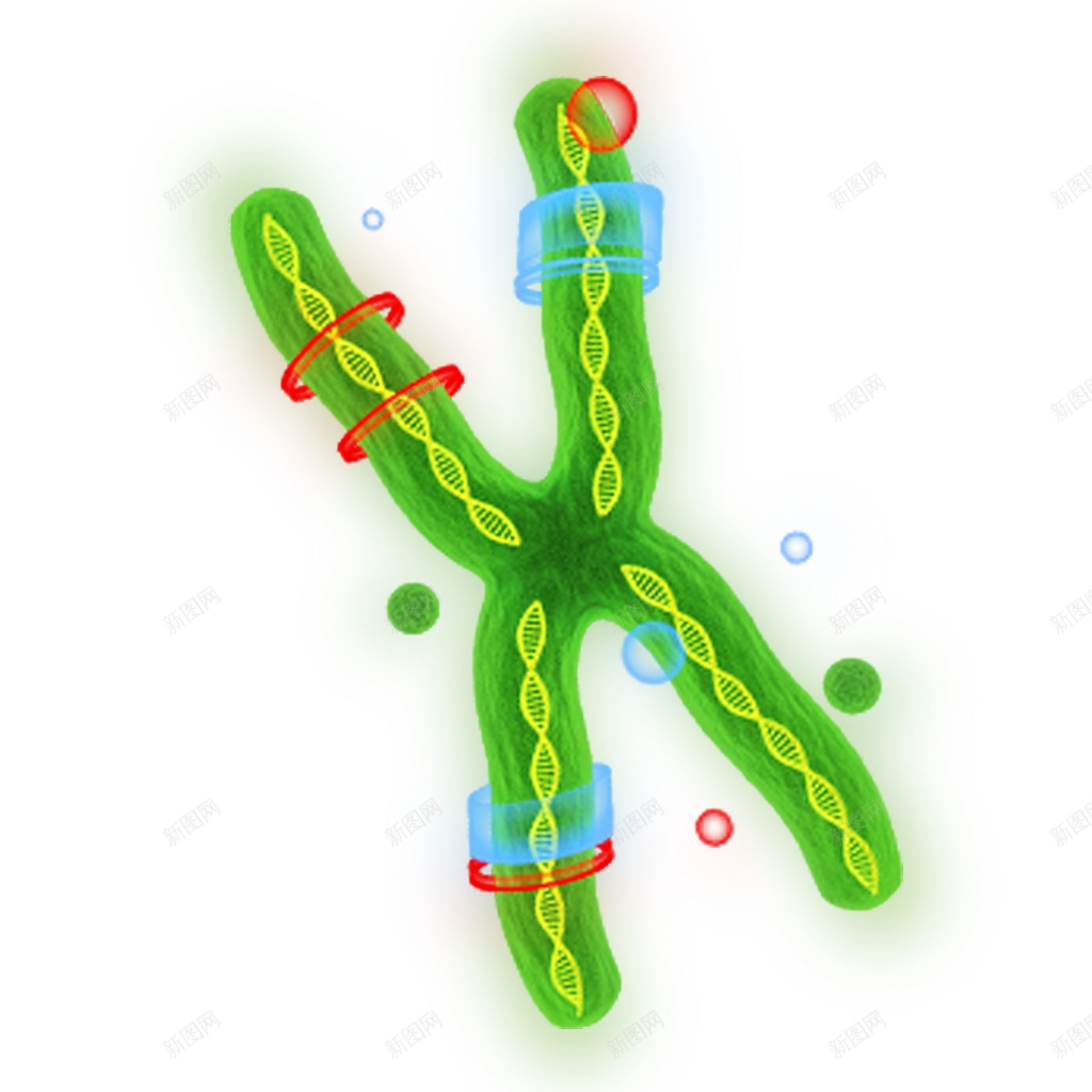 脱氧核糖核酸基因png免抠素材_88icon https://88icon.com 基因 脱氧核糖核酸