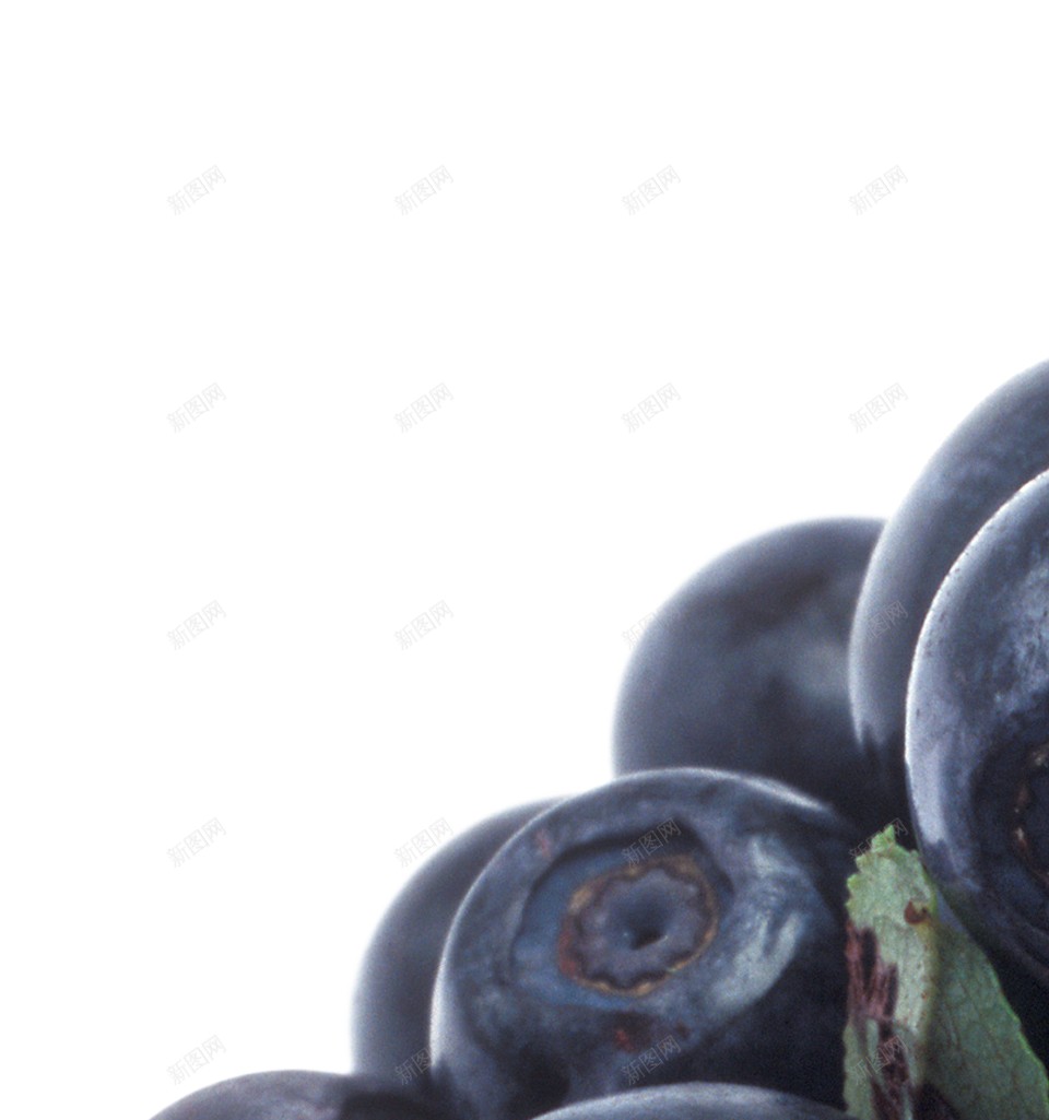 越橘蓝色浆果蓝莓blueberry的复数png免抠素材_88icon https://88icon.com blueberry的复数 越橘蓝色浆果蓝莓