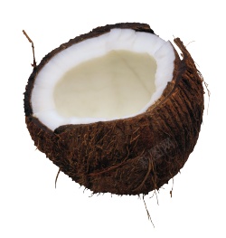 椰子椰子肉椰蓉素材