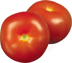 番茄西红柿素材