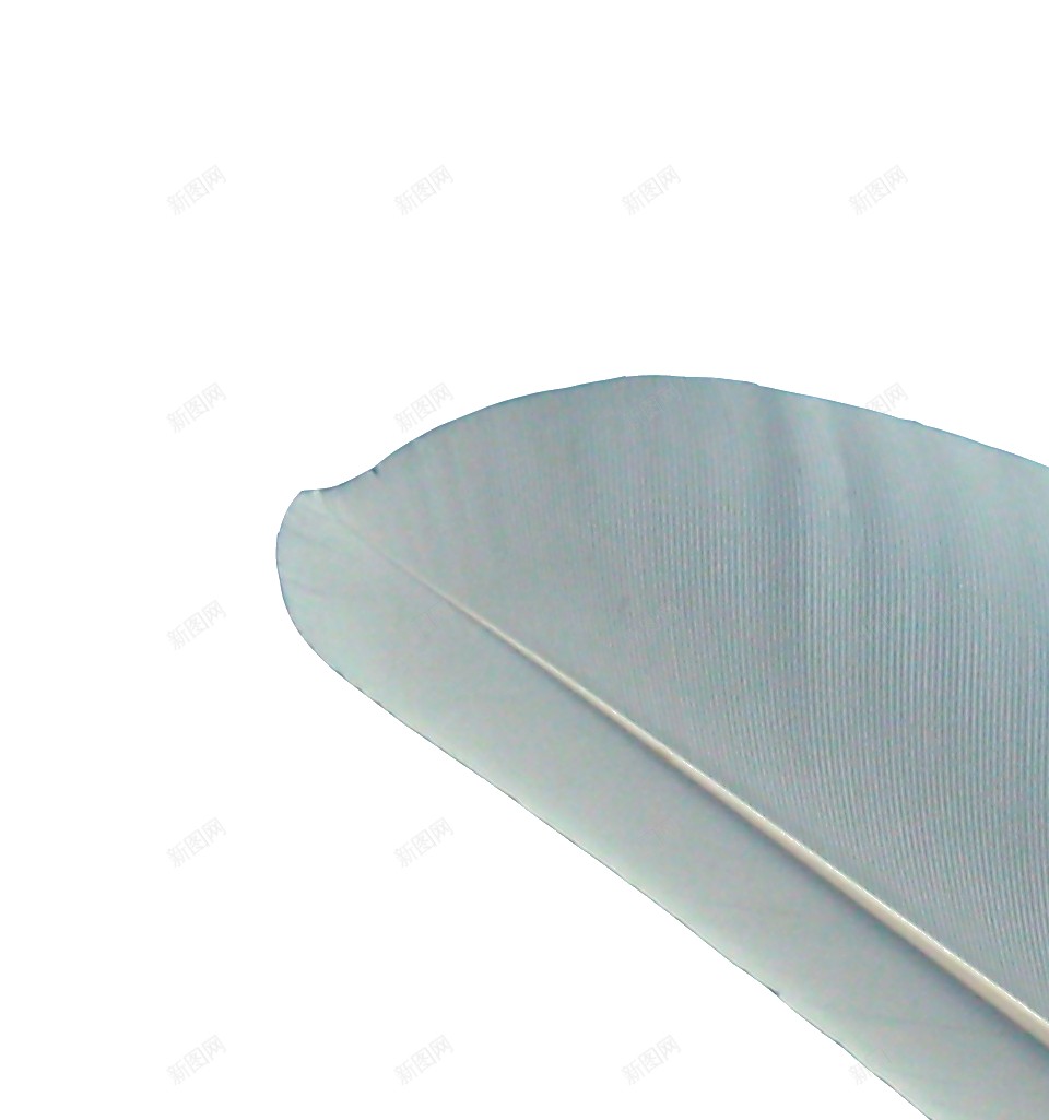 羽毛翎毛png免抠素材_88icon https://88icon.com 羽毛 翎毛