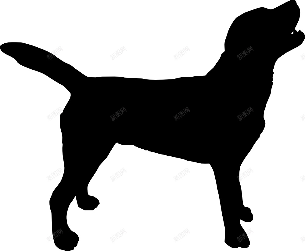 拉布拉多猎狗拉布拉多猎犬png免抠素材_88icon https://88icon.com 拉布拉多猎犬 拉布拉多猎狗