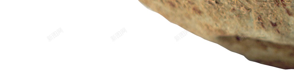 椰子椰子肉椰蓉png免抠素材_88icon https://88icon.com 椰子 椰子肉椰蓉