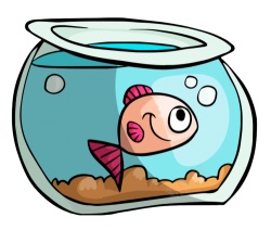 养鱼缸养鱼缸水族玻璃槽高清图片