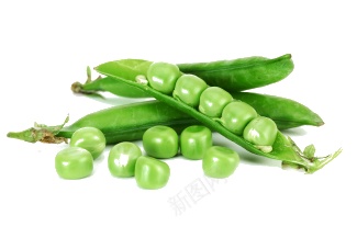 豌豆豌豆粒png免抠素材_88icon https://88icon.com 豌豆 豌豆粒