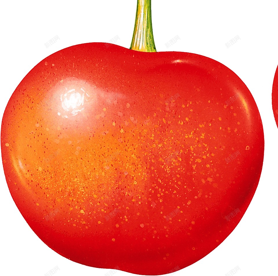 樱桃樱桃树png免抠素材_88icon https://88icon.com 樱桃 樱桃树