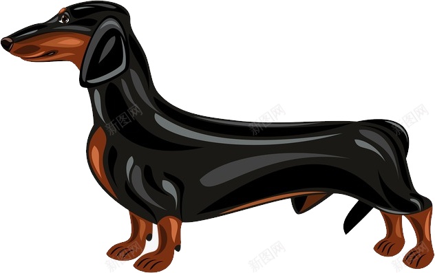 猎獾狗腊肠狗png免抠素材_88icon https://88icon.com 猎獾狗腊肠狗