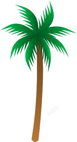 棕榈棕榈树素材