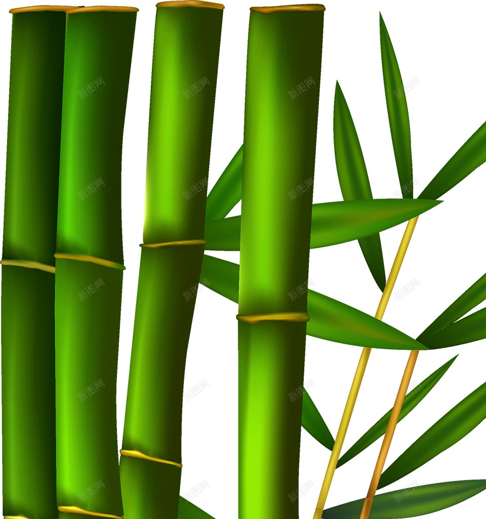 竹竹子png免抠素材_88icon https://88icon.com 竹 竹子