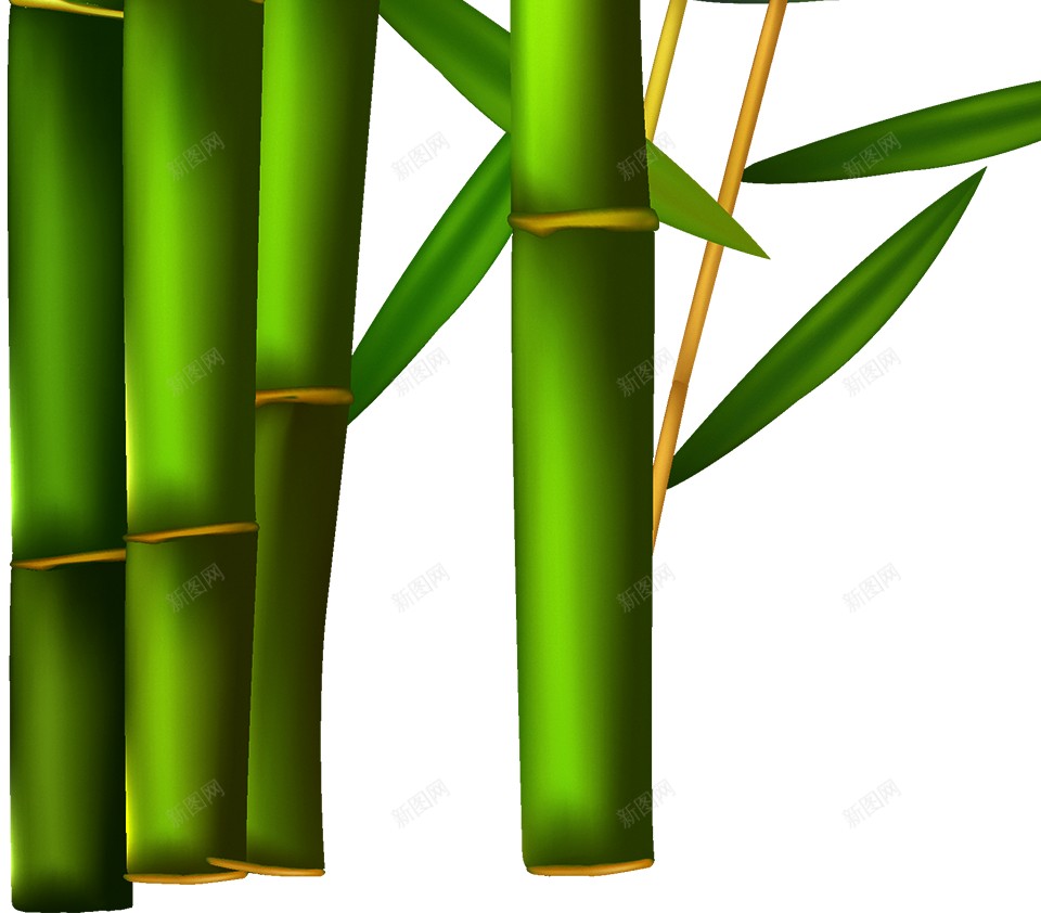 竹竹子png免抠素材_88icon https://88icon.com 竹 竹子