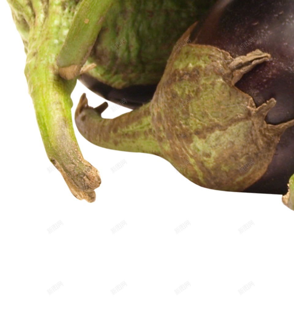 茄子png免抠素材_88icon https://88icon.com 茄子