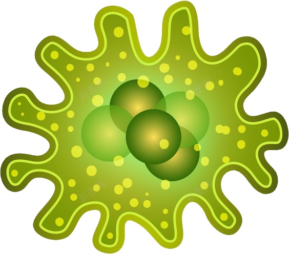 细菌bacterium的复数png免抠素材_88icon https://88icon.com bacterium的复数 细菌