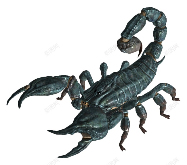 蝎子scorpion的复数png免抠素材_88icon https://88icon.com scorpion的复数 蝎子