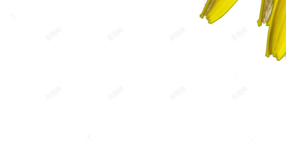 蒲公英png免抠素材_88icon https://88icon.com 蒲公英