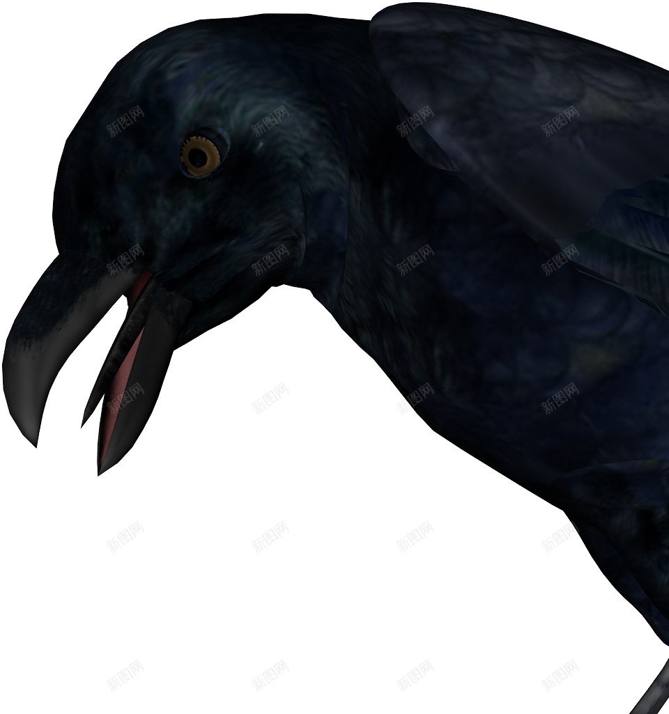 渡鸦乌黑光亮的png免抠素材_88icon https://88icon.com 乌黑光亮的 渡鸦