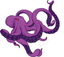 章鱼素材
