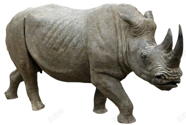 同rhinoceros犀犀牛png免抠素材_88icon https://88icon.com 同rhinoceros 犀犀牛