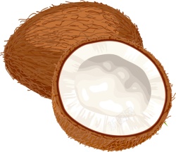 椰子椰子肉椰蓉素材