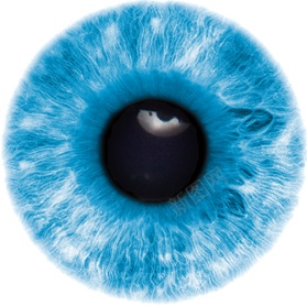 眼睛有眼睛的png免抠素材_88icon https://88icon.com 有眼睛的 眼睛