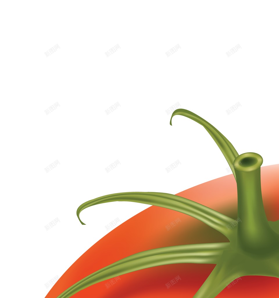 番茄西红柿png免抠素材_88icon https://88icon.com 番茄 西红柿