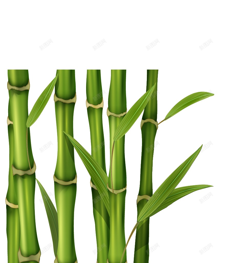 竹竹子png免抠素材_88icon https://88icon.com 竹 竹子