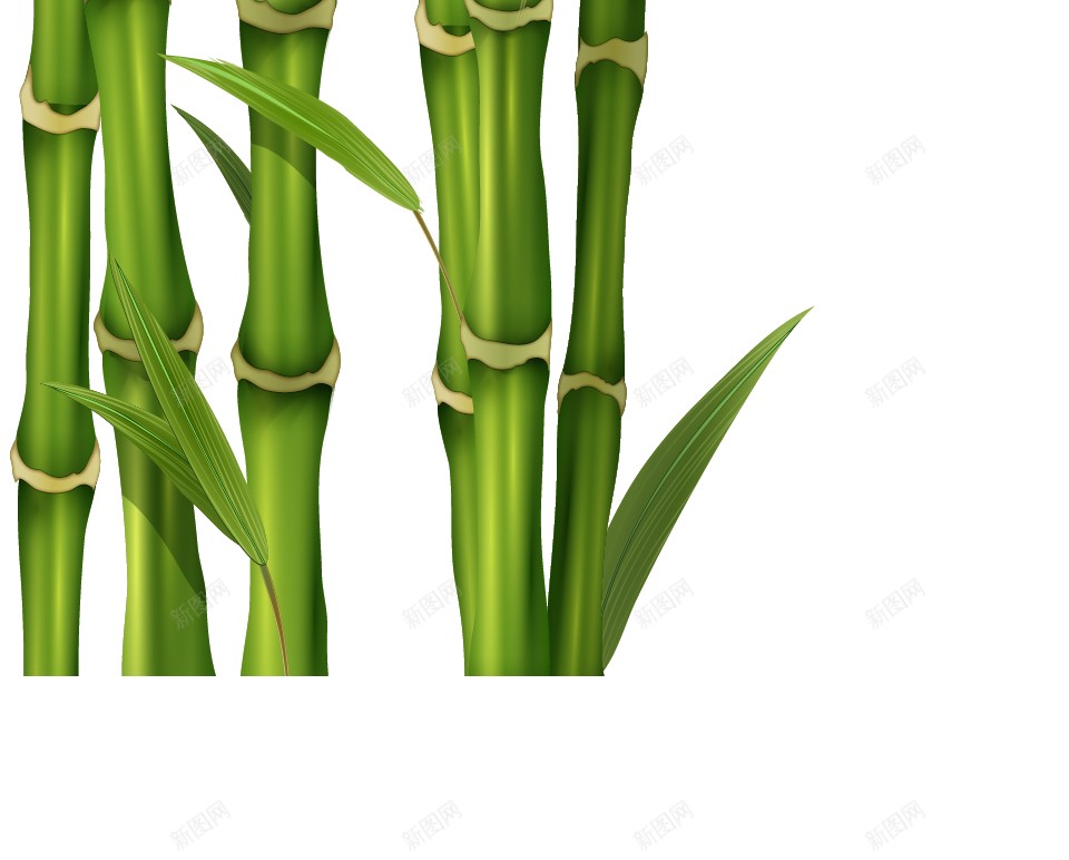 竹竹子png免抠素材_88icon https://88icon.com 竹 竹子