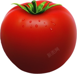 番茄西红柿素材