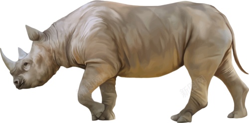 同rhinoceros犀犀牛png免抠素材_88icon https://88icon.com 同rhinoceros 犀犀牛