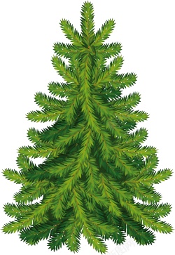 圣诞树采油树松柏树绿色素材
