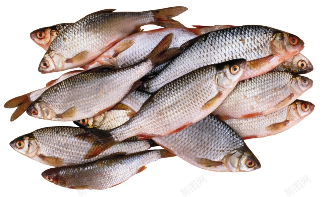 鱼鱼肉png免抠素材_88icon https://88icon.com 鱼 鱼肉