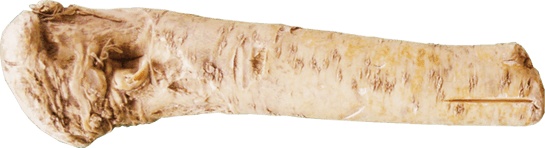 辣根辣根酱png免抠素材_88icon https://88icon.com 辣根 辣根酱