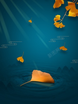 秋分秋天秋分树叶落叶秋季背景高清图片