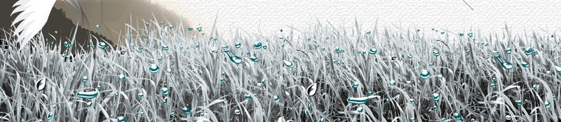 水墨风白露节气背景jpg设计背景_88icon https://88icon.com 中国风 水墨风 白露节气 背景