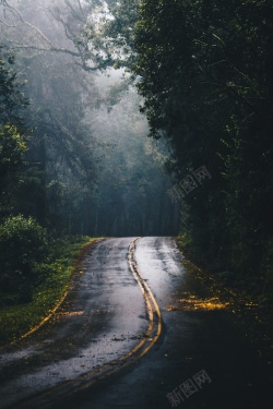 森林小道风景墙摄影旅游风景126高清图片