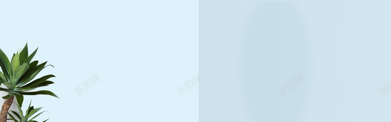 小清新室内景jpg设计背景_88icon https://88icon.com 室内 小清 景色 植物