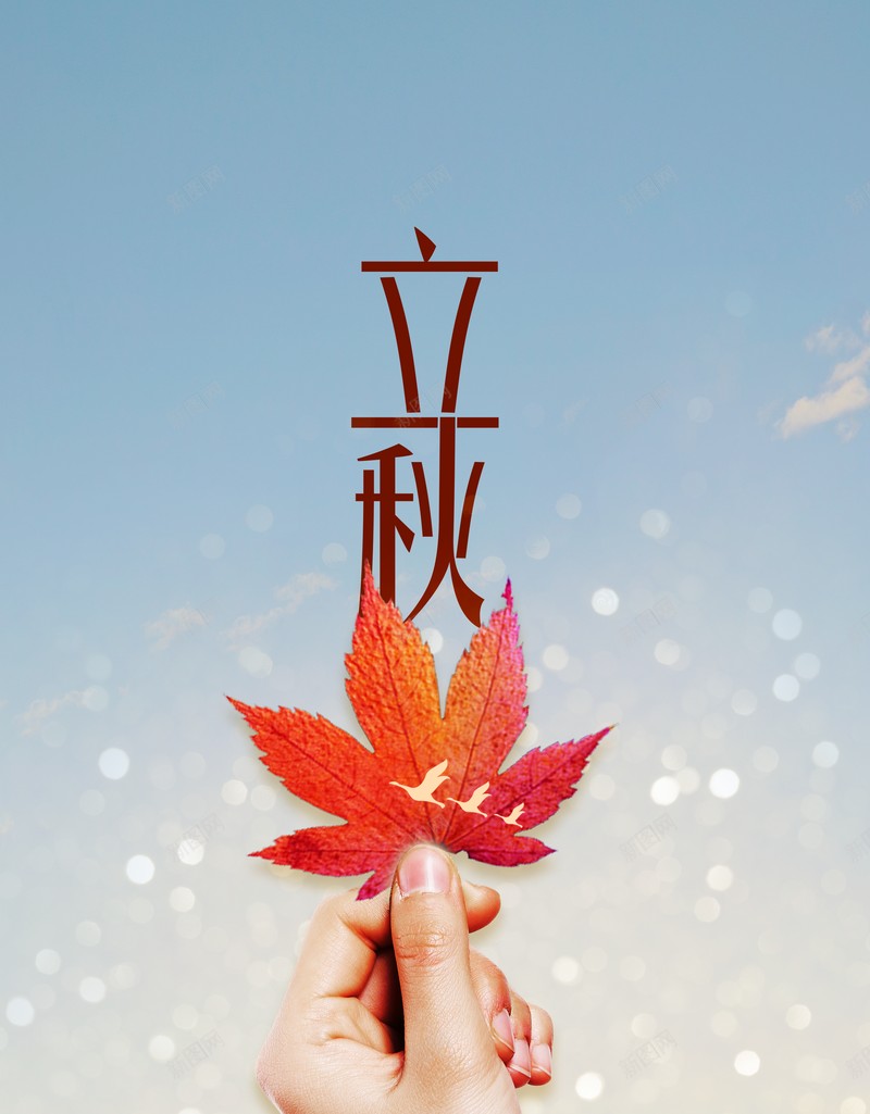 秋天立秋树叶手秋天背景psd设计背景_88icon https://88icon.com 手 树叶 秋天 秋天背景 立秋