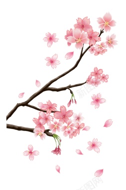 粉色花春季樱花盛开插画背景