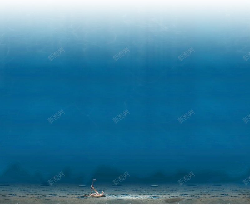 海洋元素卡通元素矢量海洋小鱼卡通元素jpg设计背景_88icon https://88icon.com 海洋元素 卡通元素 店铺背景 质感 纹理 矢量海洋小鱼