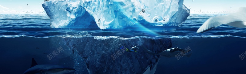 高清海底背景jpg设计背景_88icon https://88icon.com 冰山 海洋 海报banner 摄影 风景