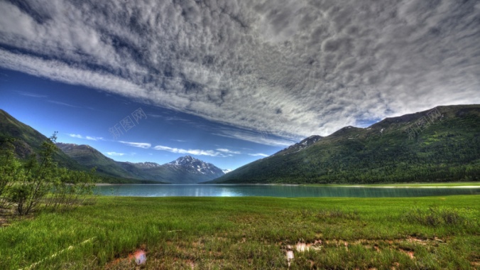 草地阳光湖面天空背景