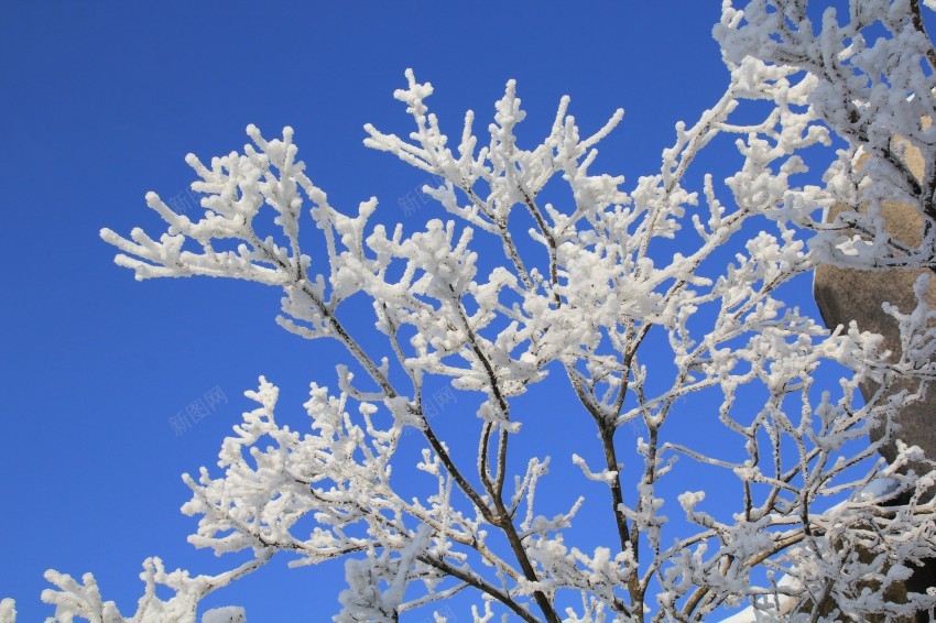 安徽安庆天竺山雪景图片第6张jpg_88icon https://88icon.com 安徽 安庆 天竺山 雪景 图片 第 张