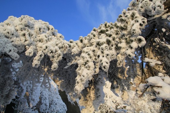 安徽安庆天竺山雪景图片第1张摄影图片