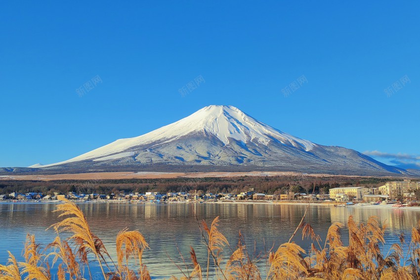 富士山jpg_88icon https://88icon.com 富士山 日本 风景 芦苇