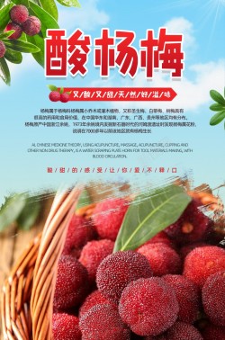 新鲜杨梅夏季水果果园促销海报海报
