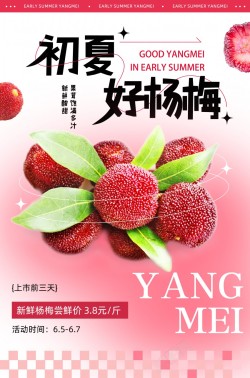 简约弥撒风杨梅夏季水果促销宣传海报海报